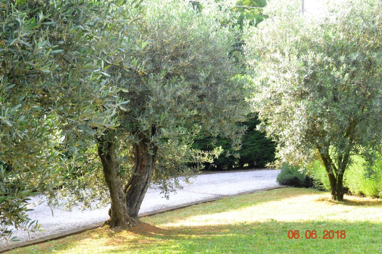 La Colombara - Fra I Colli A 5 Minuti Dall'Autodromo Imola Extérieur photo